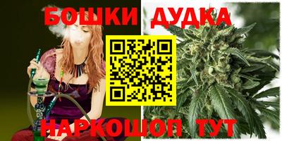 мдпв Беслан