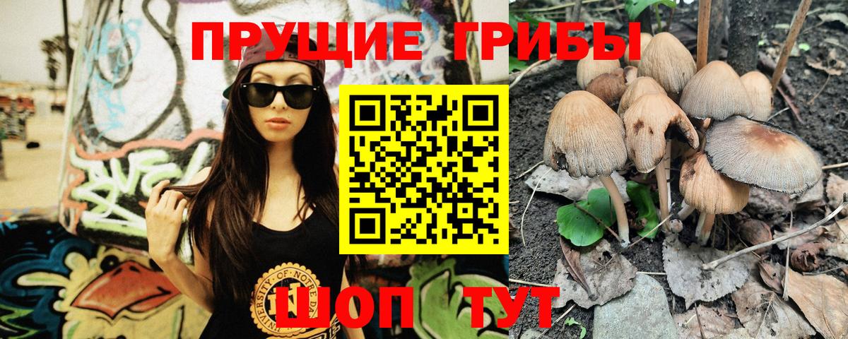 Галлюциногенные грибы мицелий Вязьма