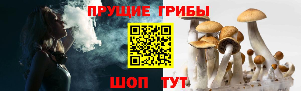 Вязьма  Псилоцибиновые грибы Psilocybe  Вход с VPN  Псилоцибиновые грибы мицелий 